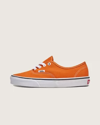 Authentischer Schuh