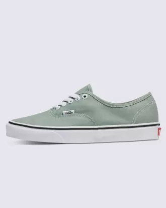 Authentischer Schuh