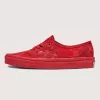 Authentischer Schuh