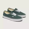 Authentischer Schuh