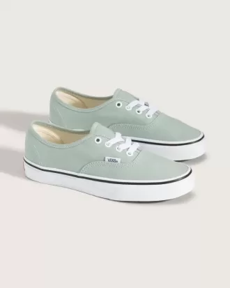 Authentischer Schuh