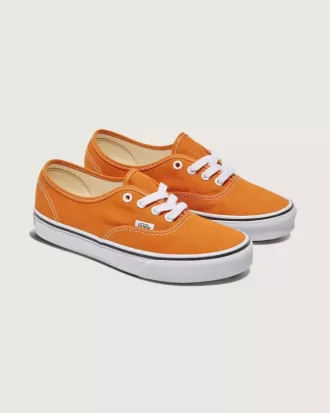 Authentischer Schuh