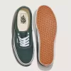 Authentischer Schuh