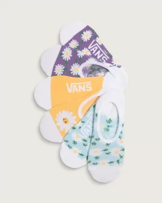 Bedruckte Canoodle-Socken, 3er-Pack