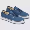 Customs Skate Authentic Schuh