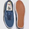 Customs Skate Authentic Schuh