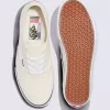 Customs Skate Authentic Schuh