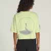 Großes Zypressen-T-Shirt