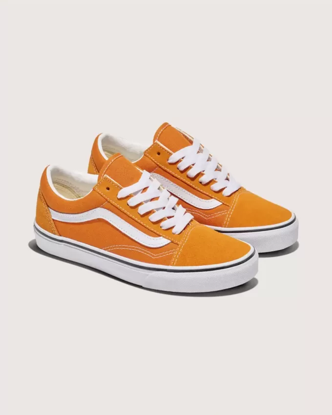 Old Skool Schuh