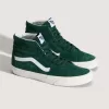 Sk8-Hi Schuh