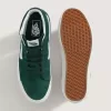 Sk8-Hi Schuh
