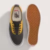 Skate Authentic Schuh