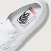 Skate Authentic Schuh