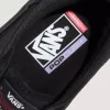 Skate Curren Caples Schuh