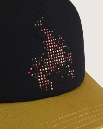 Skate Flame Trucker Cap
