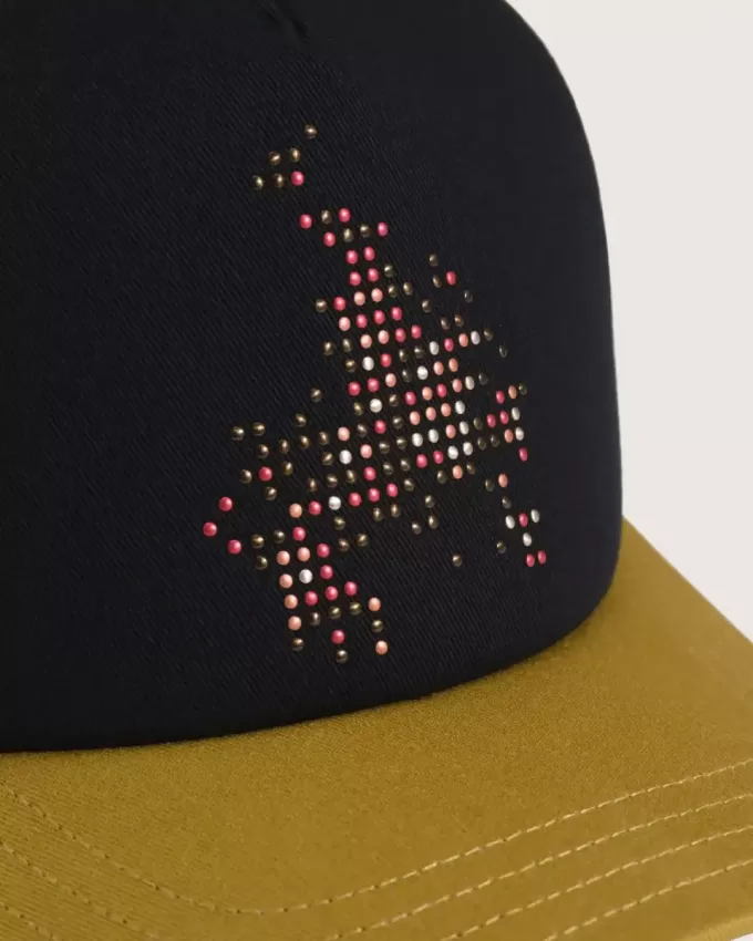 Skate Flame Trucker Cap
