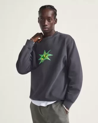 Sweatshirt mit Rundhalsausschnitt und Sternenkaromuster